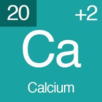 normal electrolyte levels Calcium.