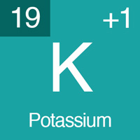 normal electrolyte levels Potassium.