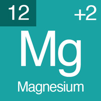 normal electrolyte levels Magnesium.