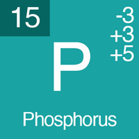 normal electrolyte levels phosphorus